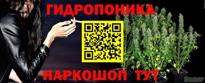 марки lsd Гусь-Хрустальный