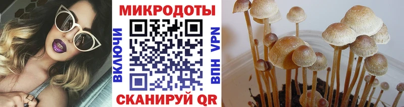 даркнет сайт  кракен маркетплейс  Псилоцибиновые грибы Psilocybine cubensis  Новоалександровск 