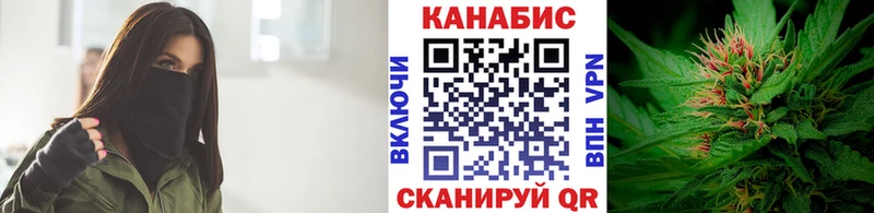Шишки марихуана THC 21%  Новоалександровск 